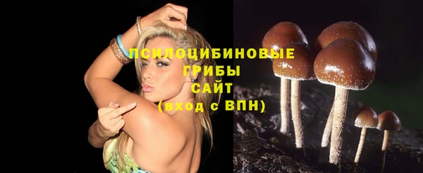 2c-b Верхнеуральск
