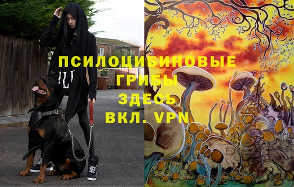 2c-b Верхнеуральск