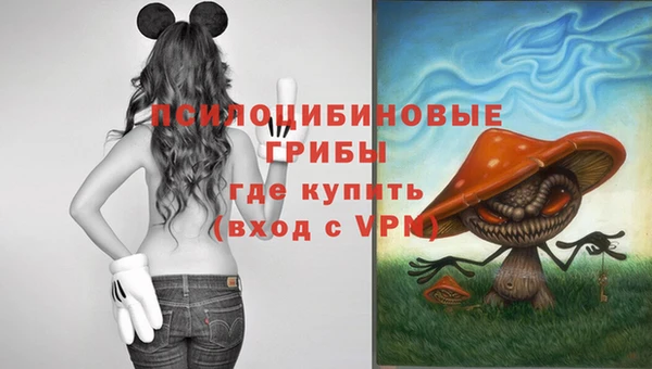 молекула духа Верхний Тагил