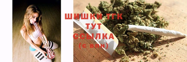 молекула духа Верхний Тагил